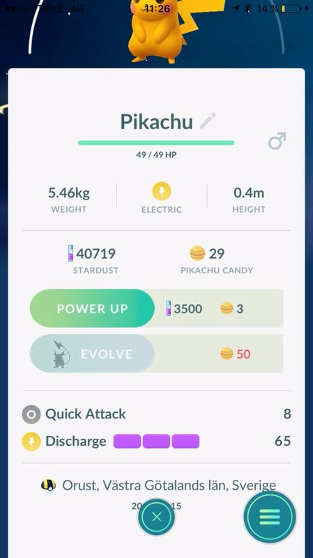 pikachu cromatico pokemon go.jpg pikachu cromatico pokemon go.jpg